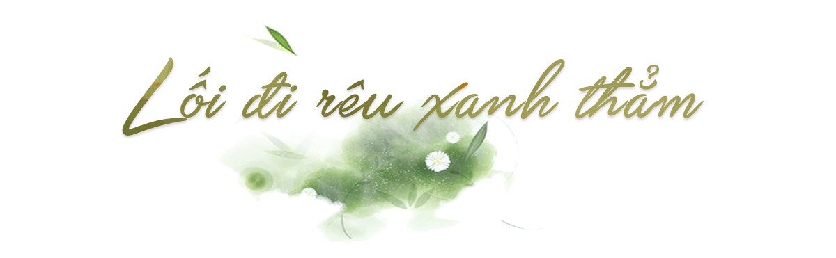 Ngược đỉnh Voi Mẹp, nóc nhà vùng đất lửa Quảng Trị - Ảnh 3.
