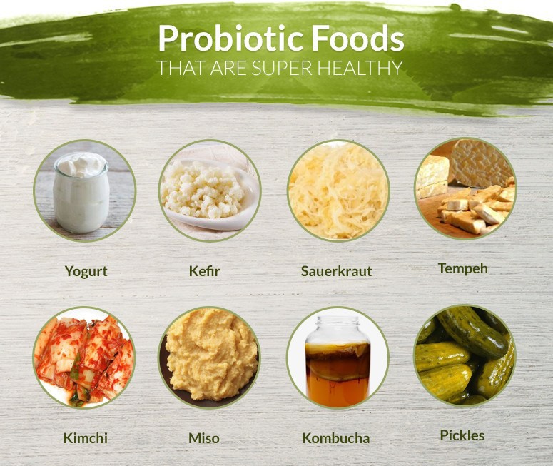 11 thực phẩm chứa probiotic có lợi cho sức khỏe - Ảnh 1. 11 thực phẩm chứa probiotic có lợi cho sức khỏe - Ảnh 1.