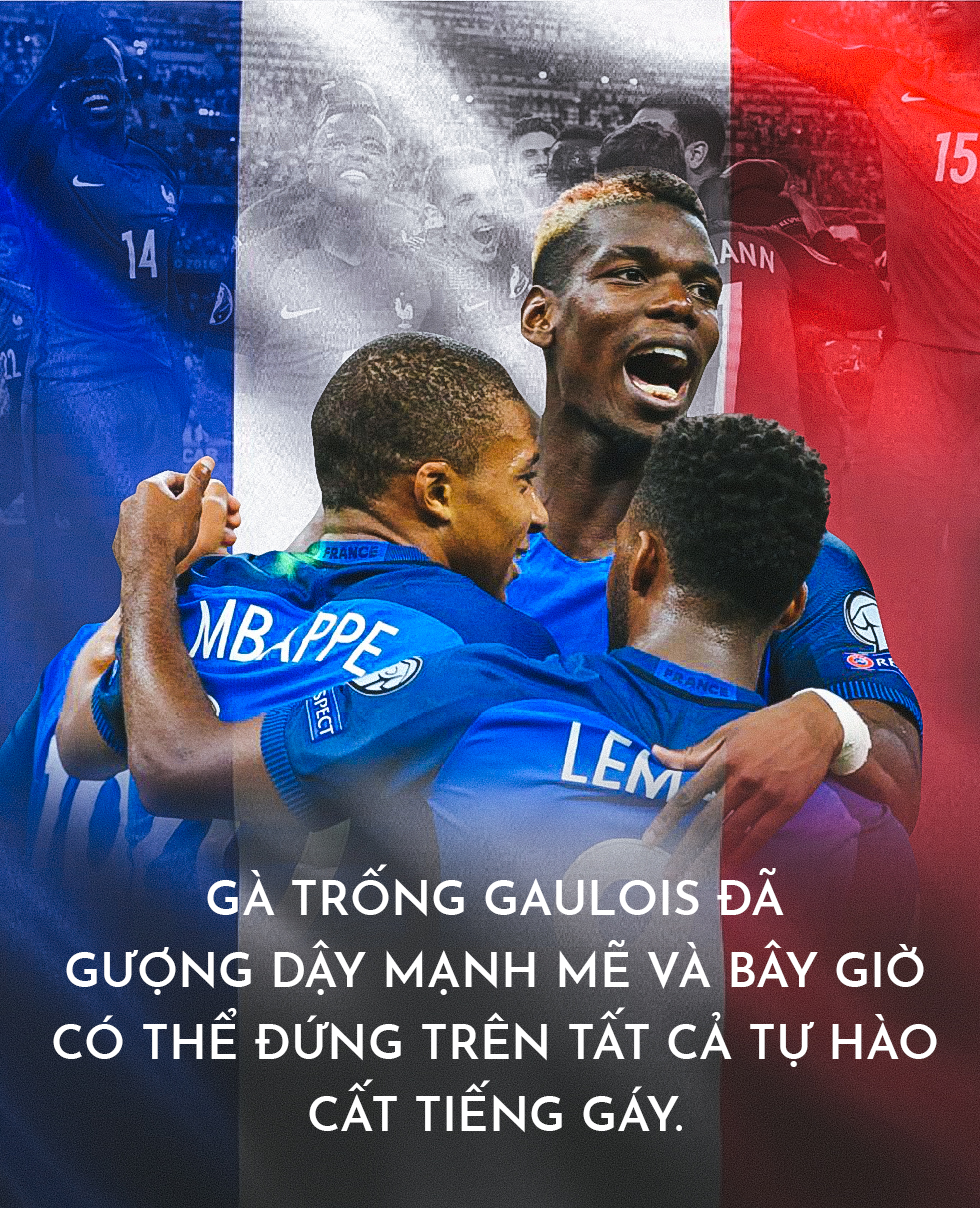 Gà trống Gaulois hồi sinh trên “vết nhơ” Nam Phi - Ảnh 11.