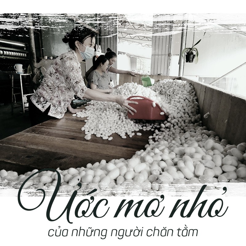 Tơ lụa Việt Nam - Kỳ 1: Cú sốc Khaisilk và ba câu chuyện từ thủ phủ vàng trắng - Ảnh 1.