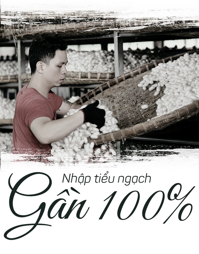 Tơ lụa Việt Nam: Lỗi tại con tằm? - Ảnh 1.