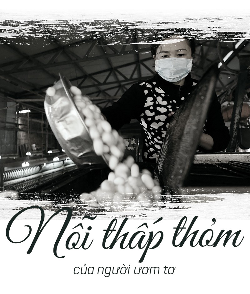 Tơ lụa Việt Nam - Kỳ 1: Cú sốc Khaisilk và ba câu chuyện từ thủ phủ vàng trắng - Ảnh 3.