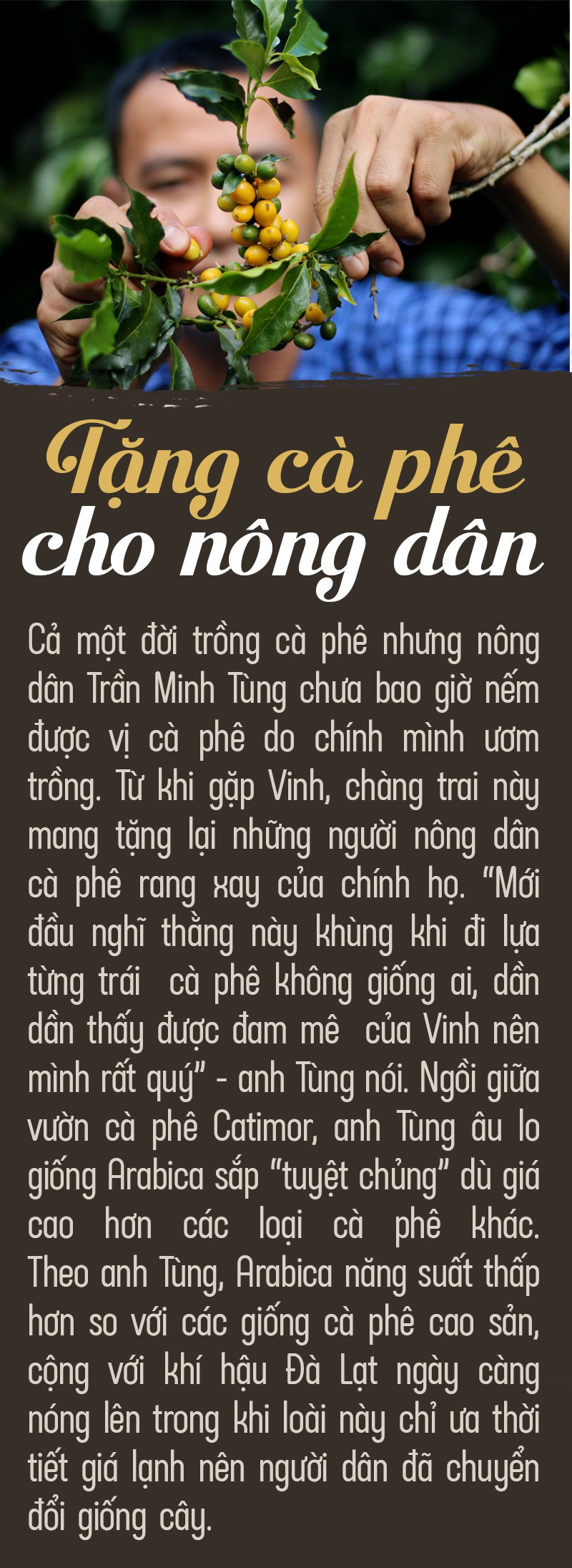 Tinh hoa đất rừng Đà Lạt trong tách cà phê - Ảnh 13.