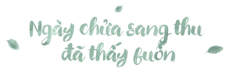 Người nhặt lá thành thi sử - Ảnh 3.