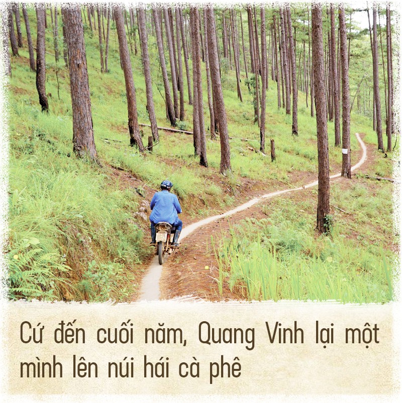 Tinh hoa đất rừng Đà Lạt trong tách cà phê - Ảnh 3.
