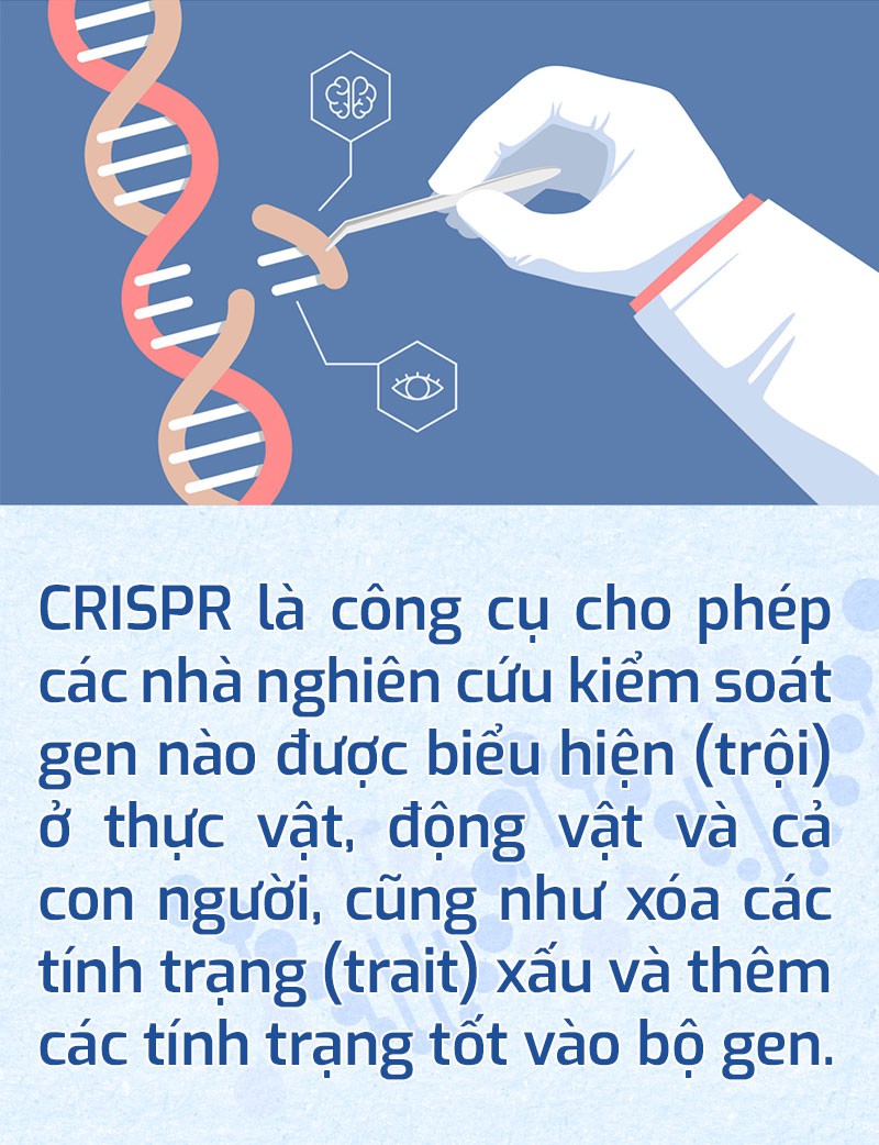 Những kỳ vọng cho ‘điều trị tốt hơn’ - Ảnh 7.