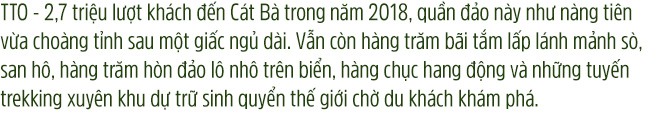 Khám phá bí ẩn của Cát Bà - Ảnh 1.