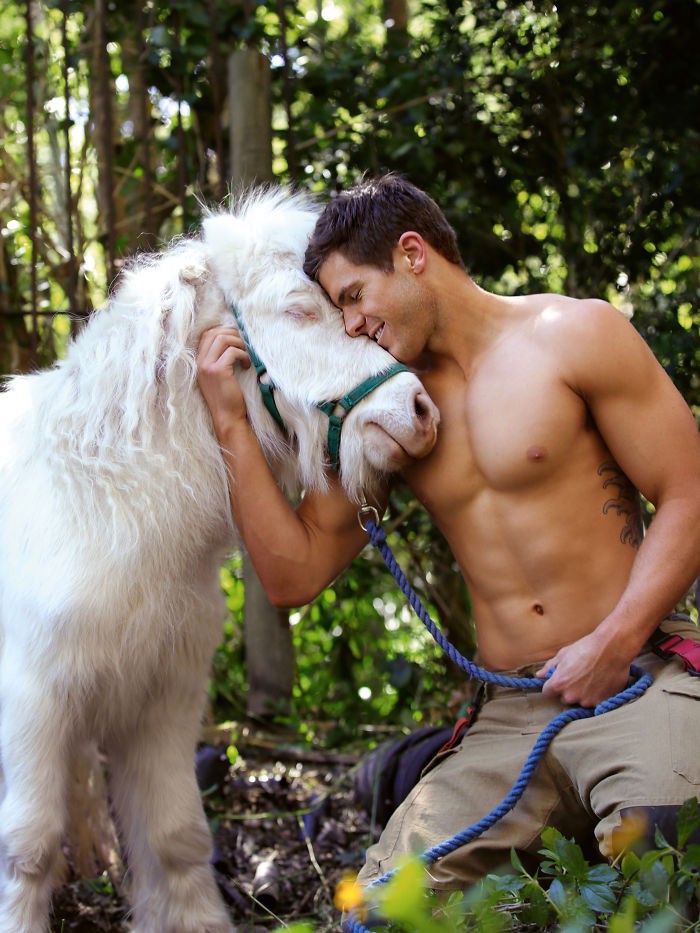 Dàn lính cứu hỏa ‘nam thần’ 6 múi của Úc chụp ảnh với động vật làm từ thiện - Ảnh 3. Dàn lính cứu hỏa ‘nam thần’ 6 múi của Úc chụp ảnh với động vật làm từ thiện - Ảnh 3.