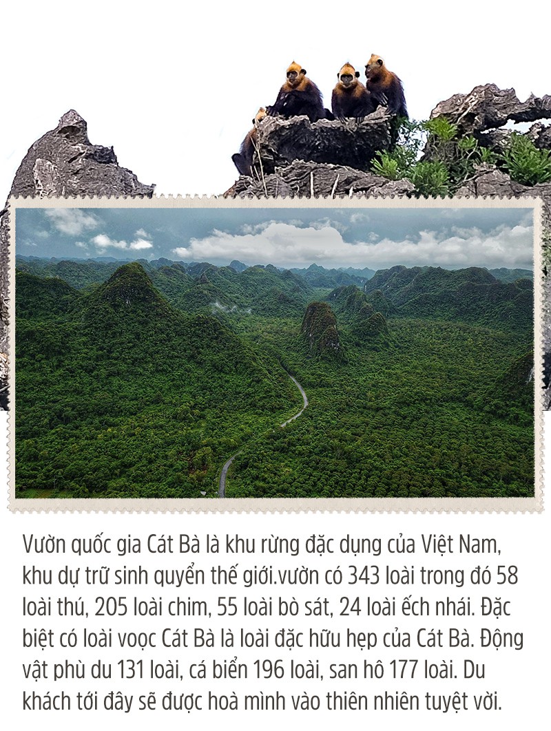 Khám phá bí ẩn của Cát Bà - Ảnh 12.