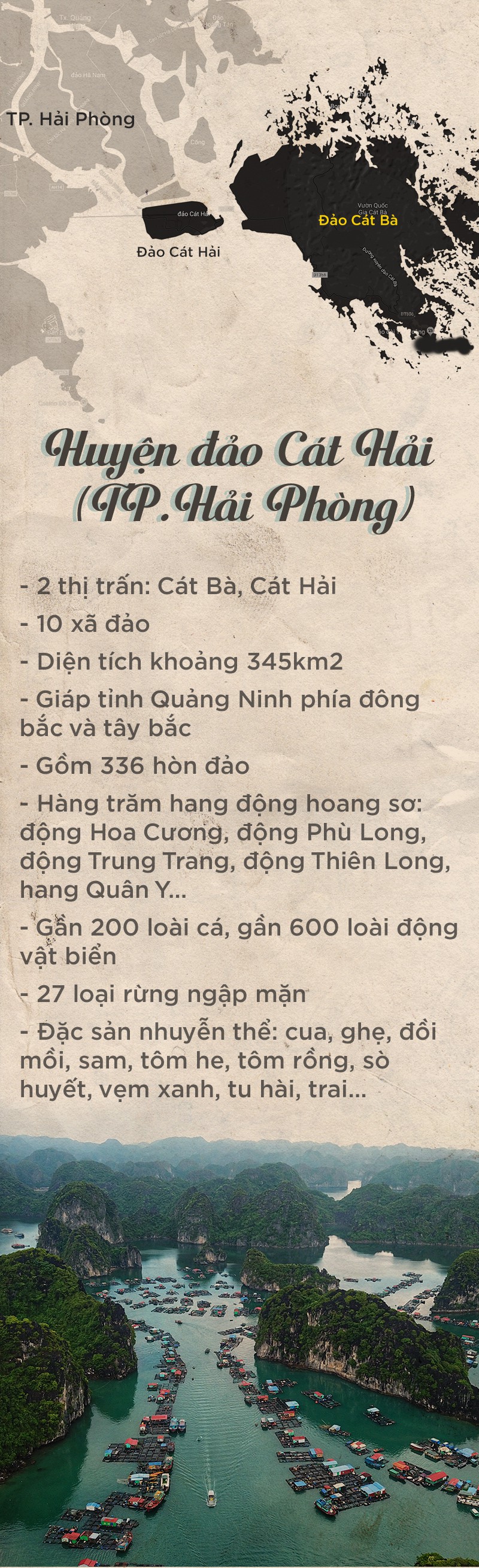 Khám phá bí ẩn của Cát Bà - Ảnh 22.