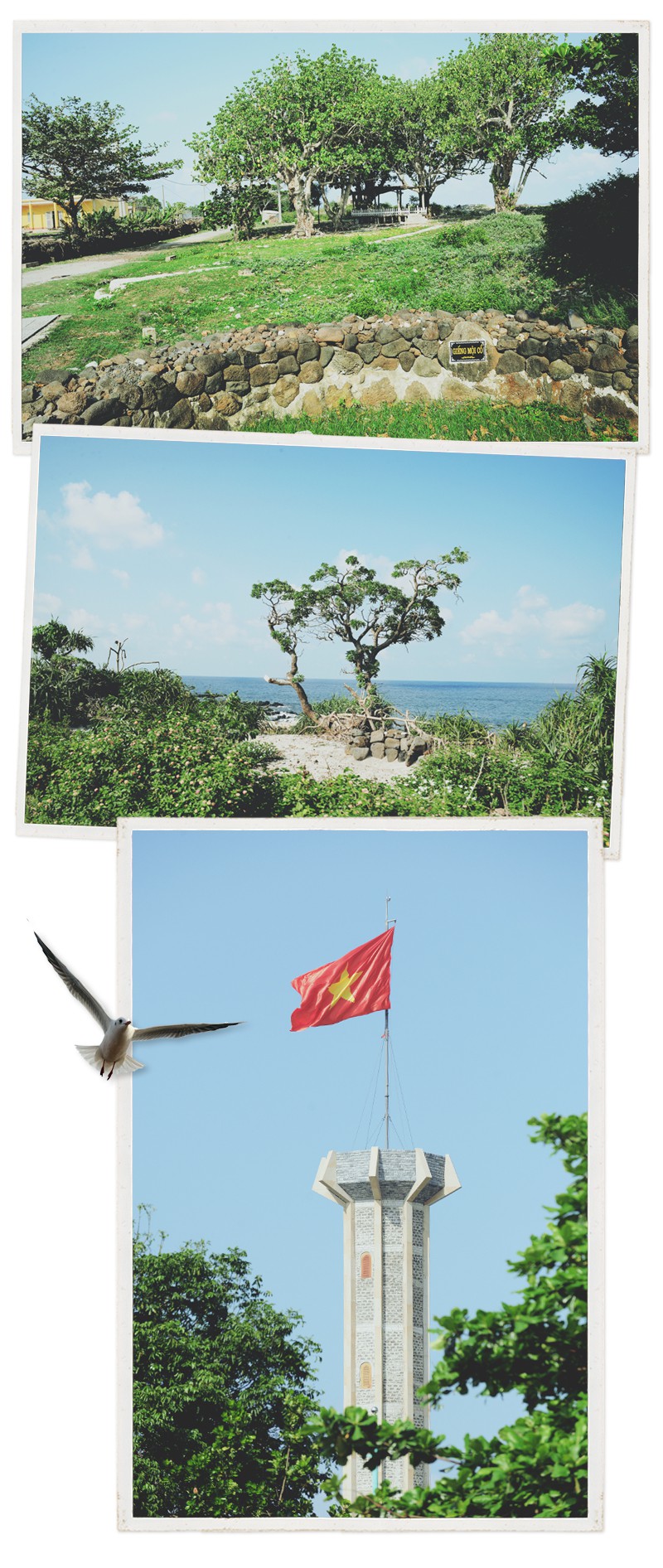 Cồn Cỏ - từ đảo thép thành đảo ngọc - Ảnh 8.