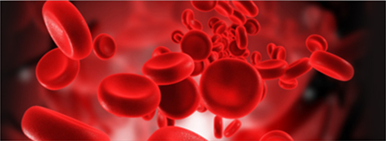 Bệnh Đa U Tủy Và phác đồ điều trị hiệu quả bệnh Đa U Tủy - Ảnh 1. Bệnh Đa U Tủy Và phác đồ điều trị hiệu quả bệnh Đa U Tủy - Ảnh 1.