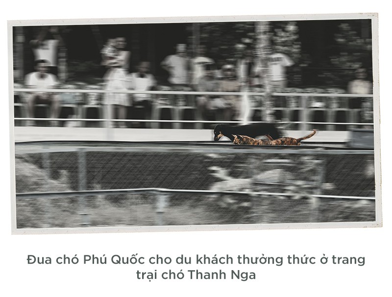 Chạm tay vào đảo ngọc Phú Quốc - Ảnh 8.