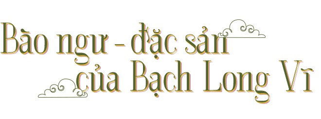 Ở xứ sở bào ngư Bạch Long Vĩ - Ảnh 16.