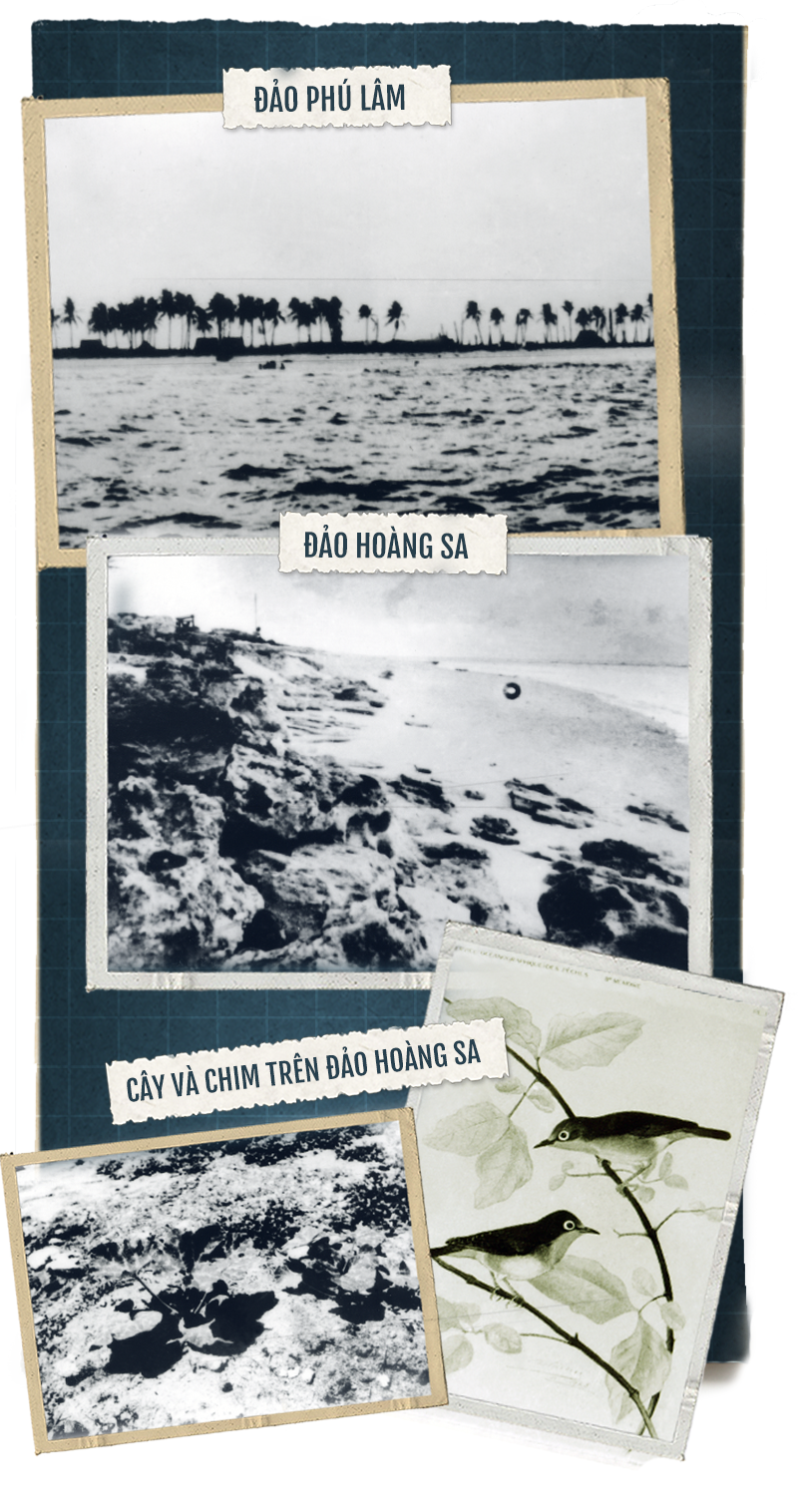 Hoàng Sa: Biển của ta, ta cứ giăng câu, thả lưới, dong thuyền - Ảnh 14.