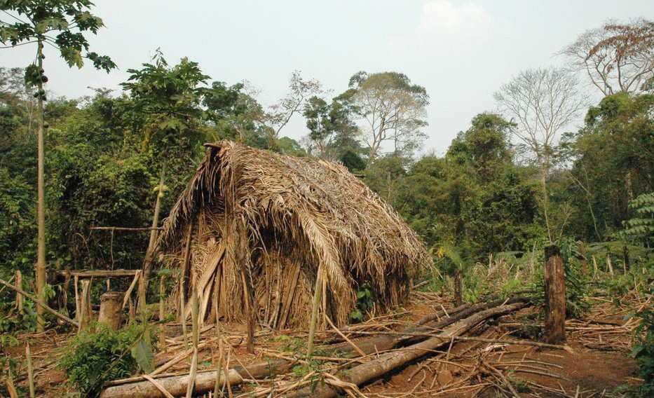 Các bộ tộc biệt lập nhất thế giới - Kỳ 1: Người cuối cùng của bộ tộc vô danh - Ảnh 1. Các bộ tộc biệt lập nhất thế giới - Kỳ 1: Người cuối cùng của bộ tộc vô danh - Ảnh 1.