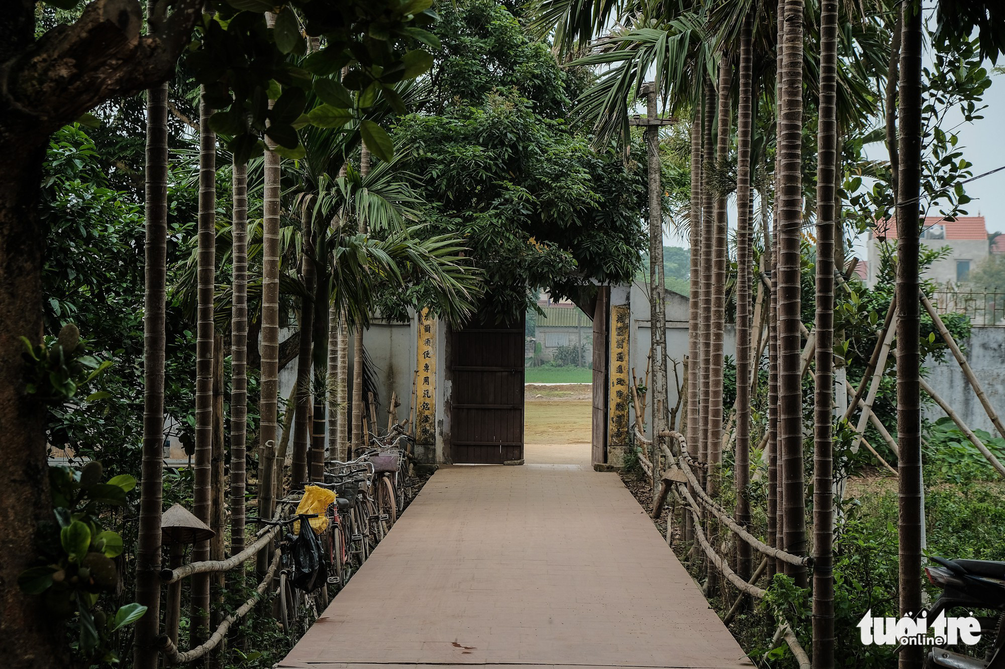 Chùa Giáng, chốn Tổ yên bình của bậc chân tu 103 tuổi Thích Phổ Tuệ - Ảnh 13. Chùa Giáng, chốn Tổ yên bình của bậc chân tu 103 tuổi Thích Phổ Tuệ - Ảnh 13.