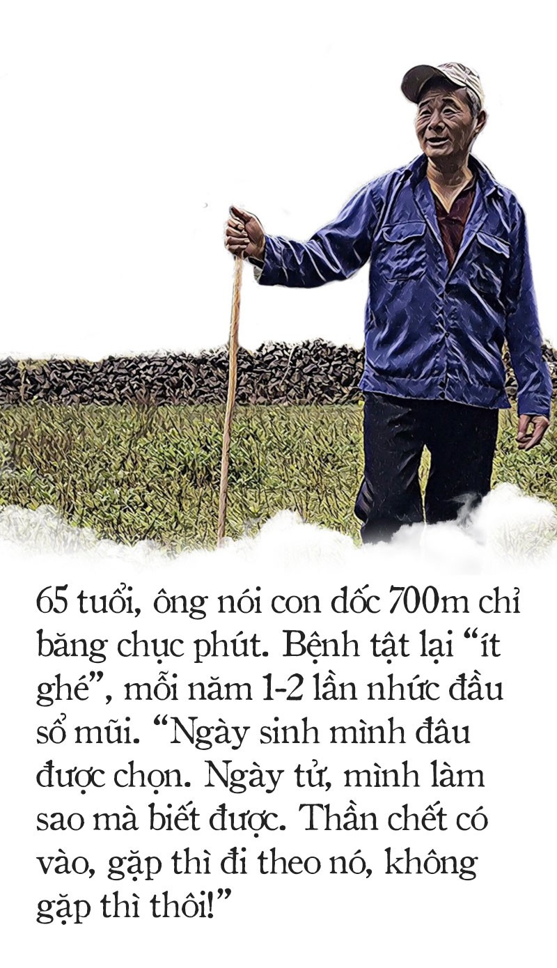 Robinson giữa trùng núi - Ảnh 8.