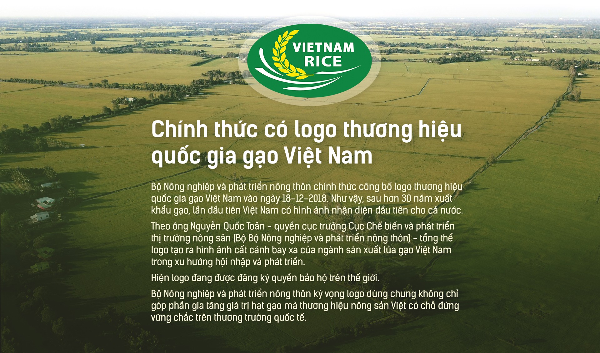 Hạt gạo Việt: 30 năm, một nỗi đau đáu về thương hiệu - Ảnh 14.