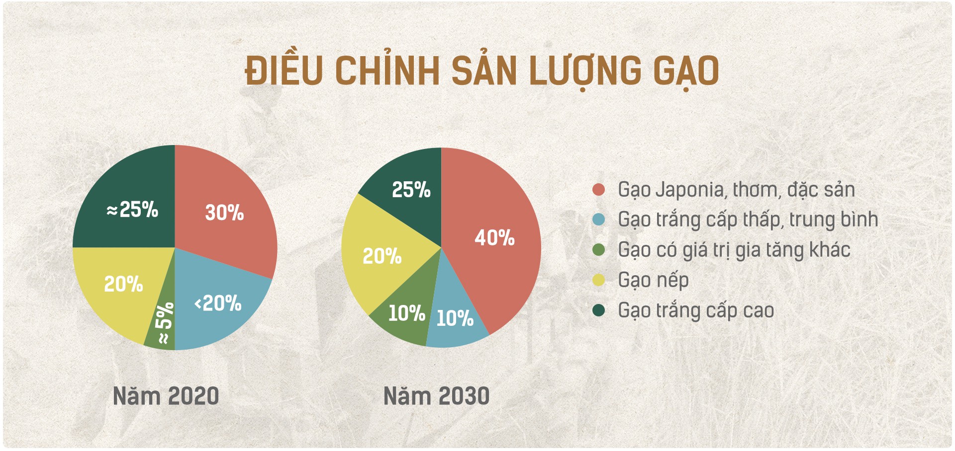 Hạt gạo Việt: 30 năm, một nỗi đau đáu về thương hiệu - Ảnh 6.