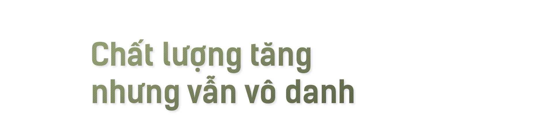 Hạt gạo Việt: 30 năm, một nỗi đau đáu về thương hiệu - Ảnh 1.