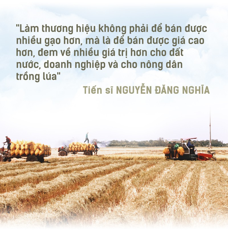 Hạt gạo Việt: 30 năm, một nỗi đau đáu về thương hiệu - Ảnh 7.