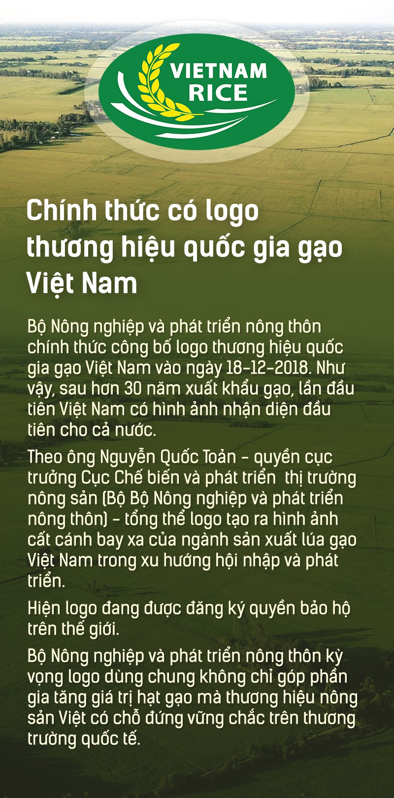 Hạt gạo Việt: 30 năm, một nỗi đau đáu về thương hiệu - Ảnh 14.