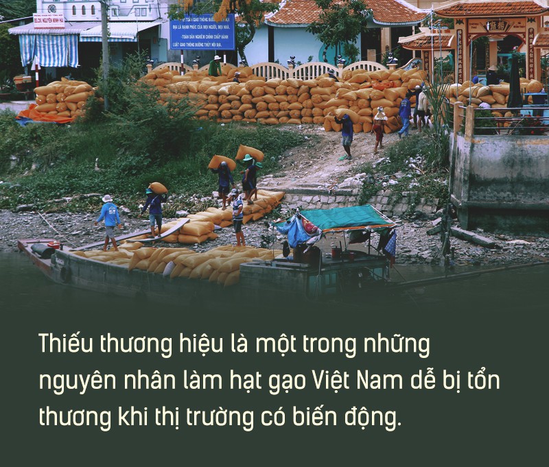 Hạt gạo Việt: 30 năm, một nỗi đau đáu về thương hiệu - Ảnh 5.