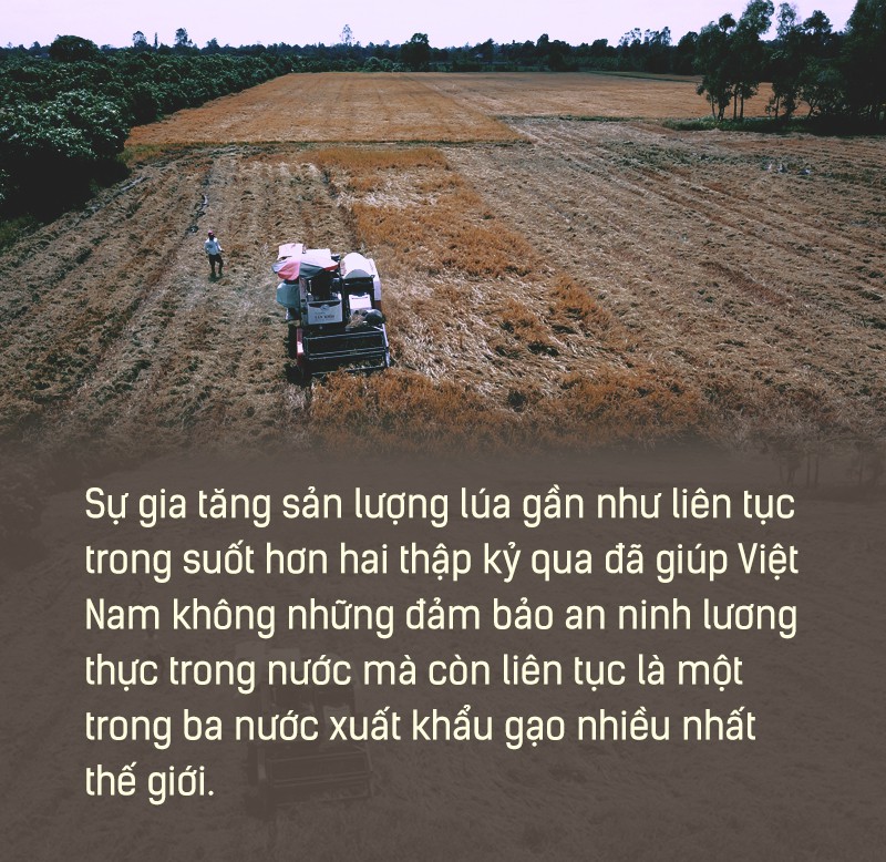 Hạt gạo Việt: 30 năm, một nỗi đau đáu về thương hiệu - Ảnh 9.