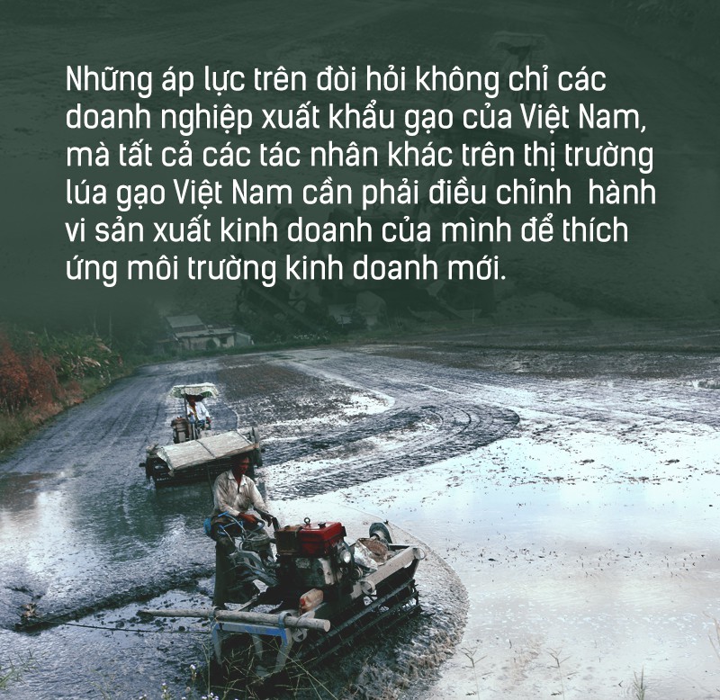 Hạt gạo Việt: 30 năm, một nỗi đau đáu về thương hiệu - Ảnh 12.