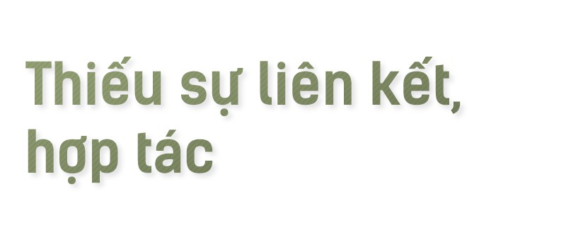 Hạt gạo Việt: 30 năm, một nỗi đau đáu về thương hiệu - Ảnh 8.