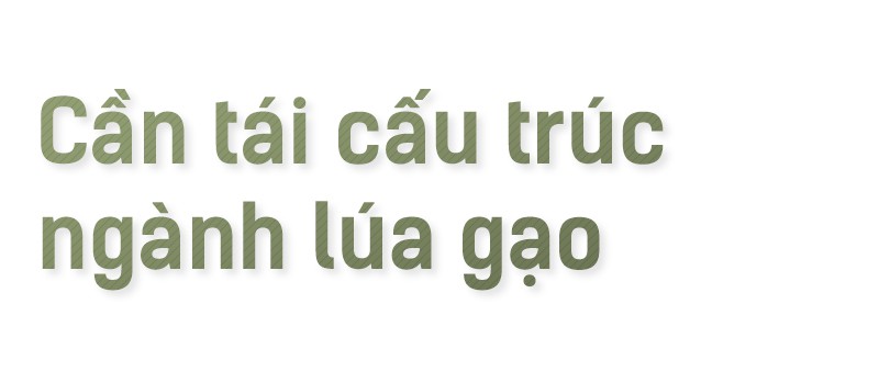 Hạt gạo Việt: 30 năm, một nỗi đau đáu về thương hiệu - Ảnh 11.