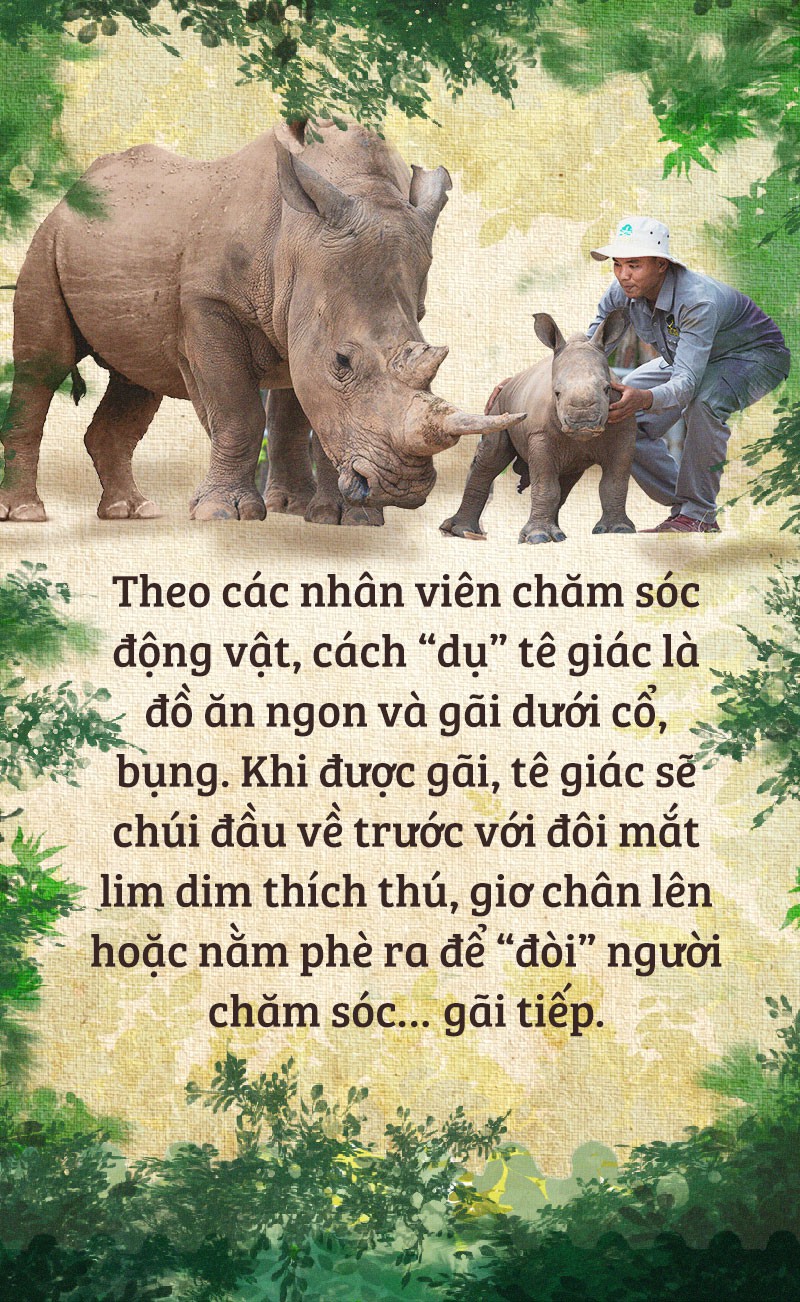 Chúng tôi sinh ra ở Safari - Ảnh 8.