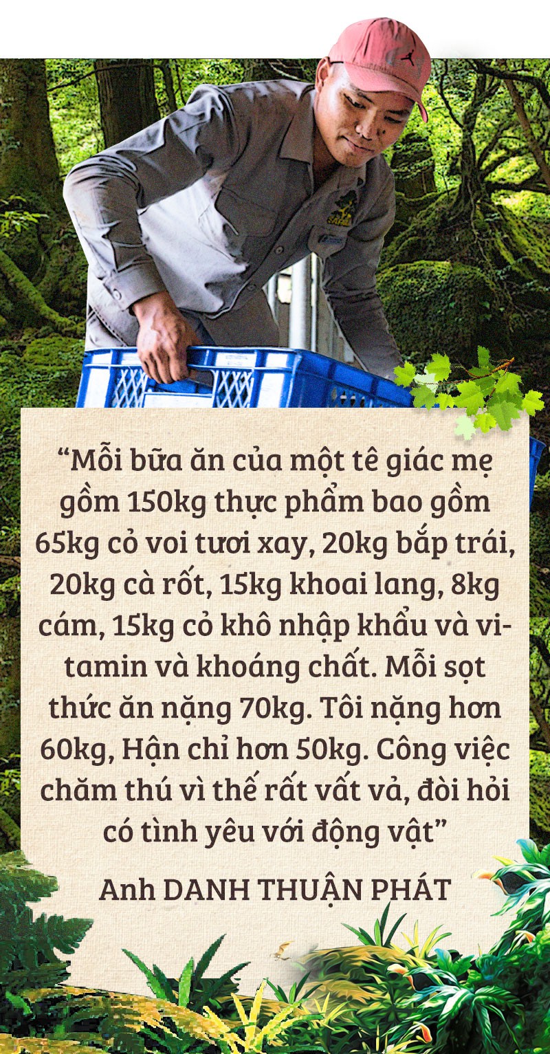 Chúng tôi sinh ra ở Safari - Ảnh 7.