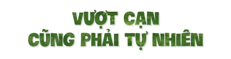 Chúng tôi sinh ra ở Safari - Ảnh 9.