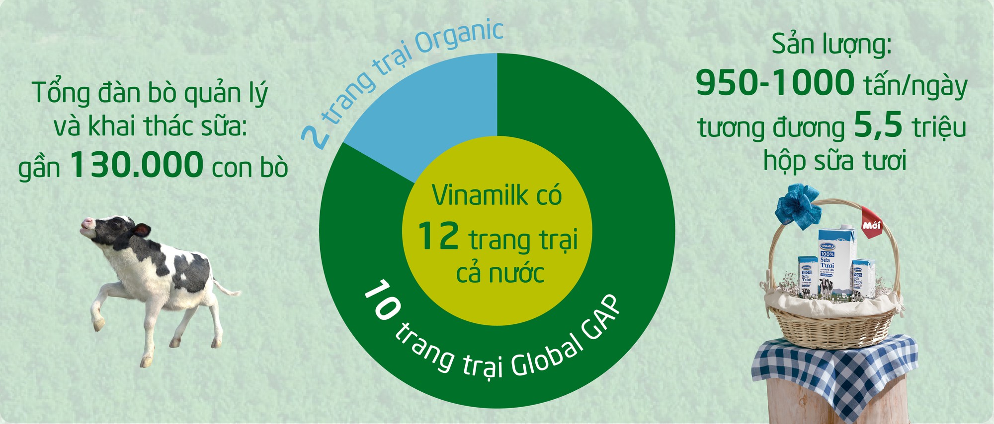 Khám phá các tiện nghi chuẩn 4.0 dành cho bò sữa của Vinamilk - Ảnh 13.