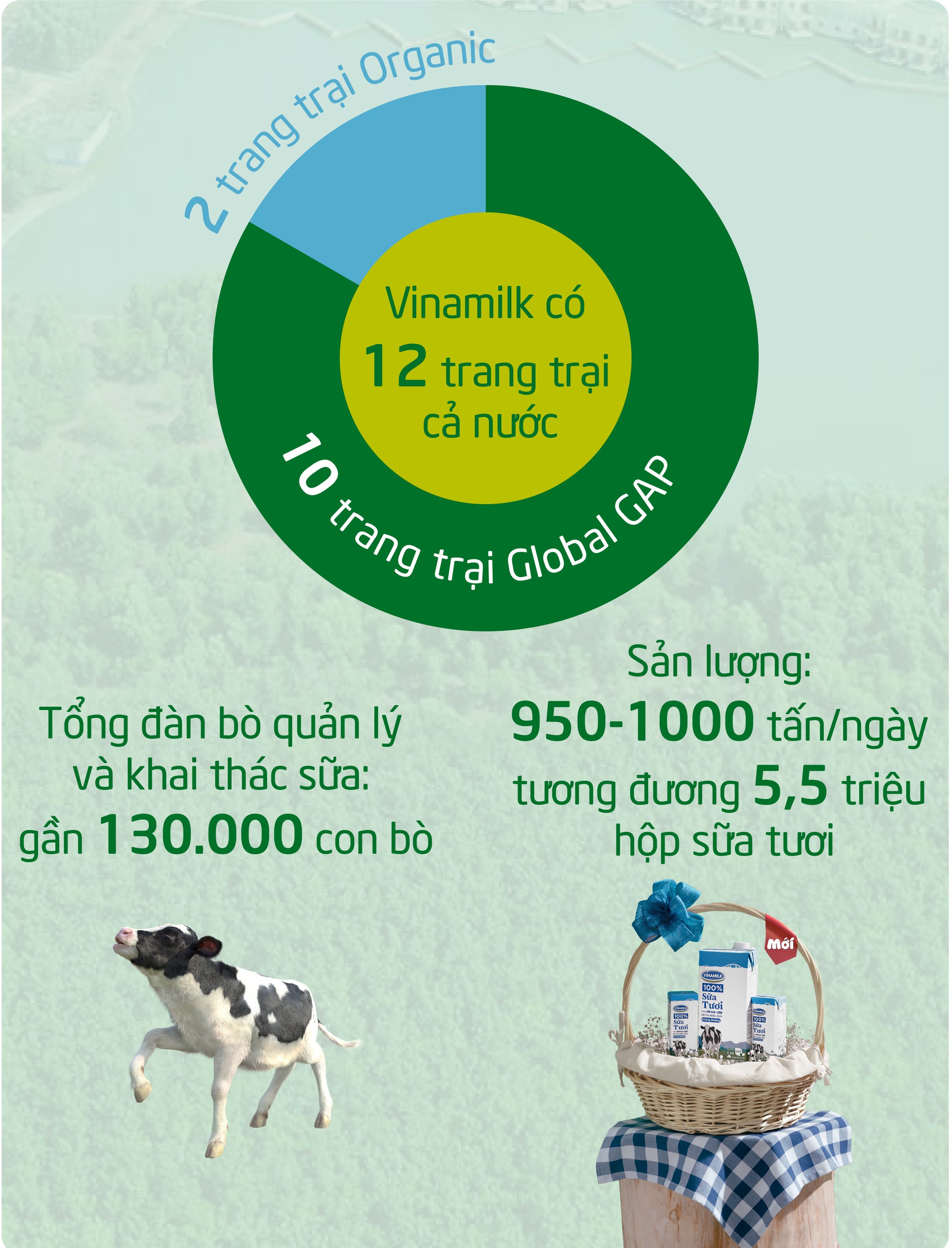 Khám phá các tiện nghi chuẩn 4.0 dành cho bò sữa của Vinamilk - Ảnh 13.