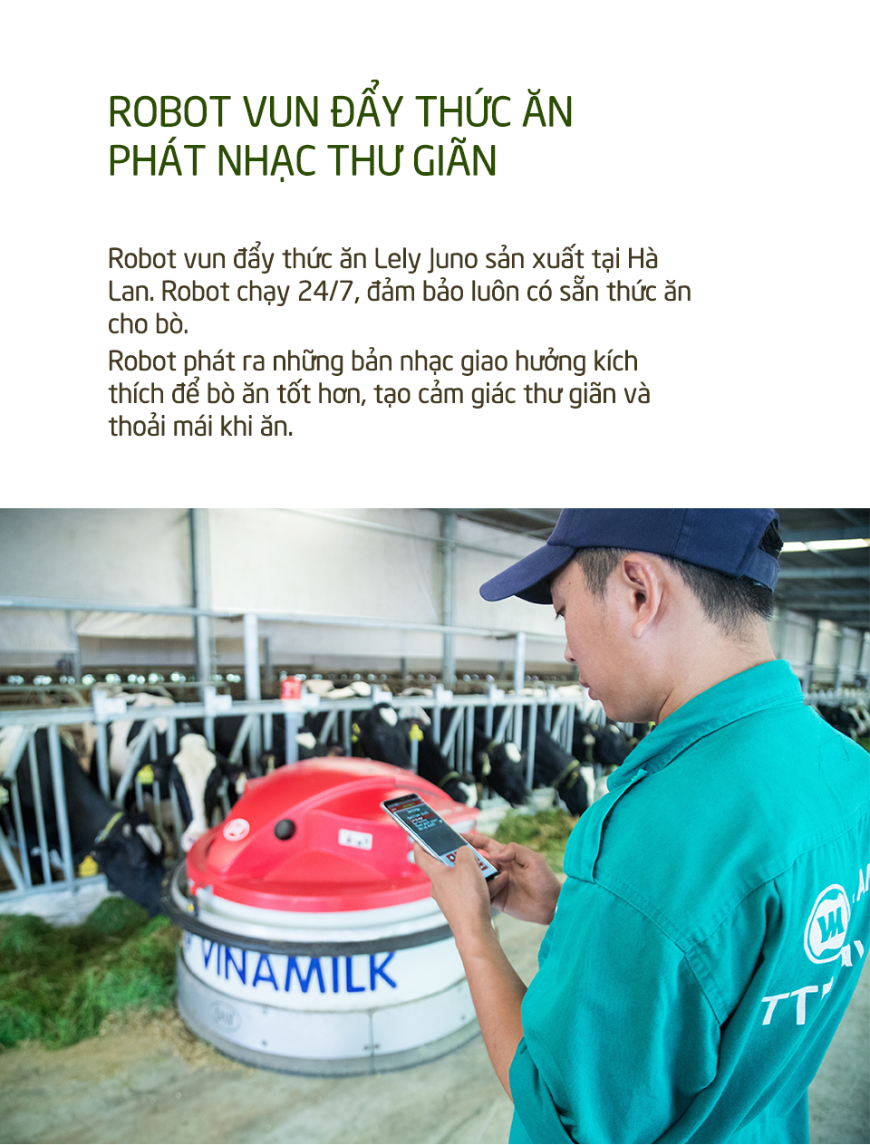 Khám phá các tiện nghi chuẩn 4.0 dành cho bò sữa của Vinamilk - Ảnh 7.