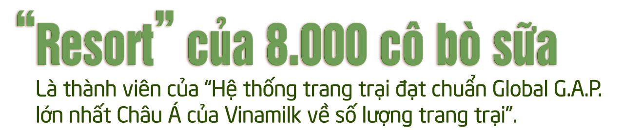 Khám phá các tiện nghi chuẩn 4.0 dành cho bò sữa của Vinamilk - Ảnh 1.