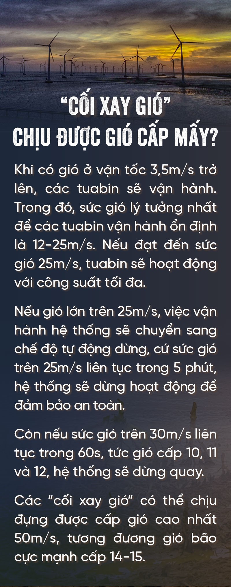 Những người canh cối xay gió - Ảnh 11.