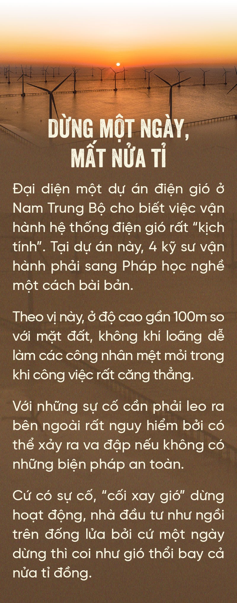 Những người canh cối xay gió - Ảnh 12.