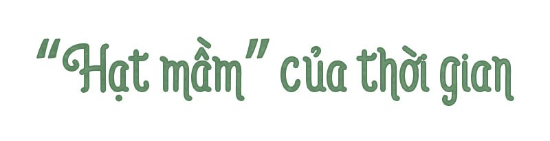 Hạt mầm khát vọng của một người mẹ - Ảnh 11.