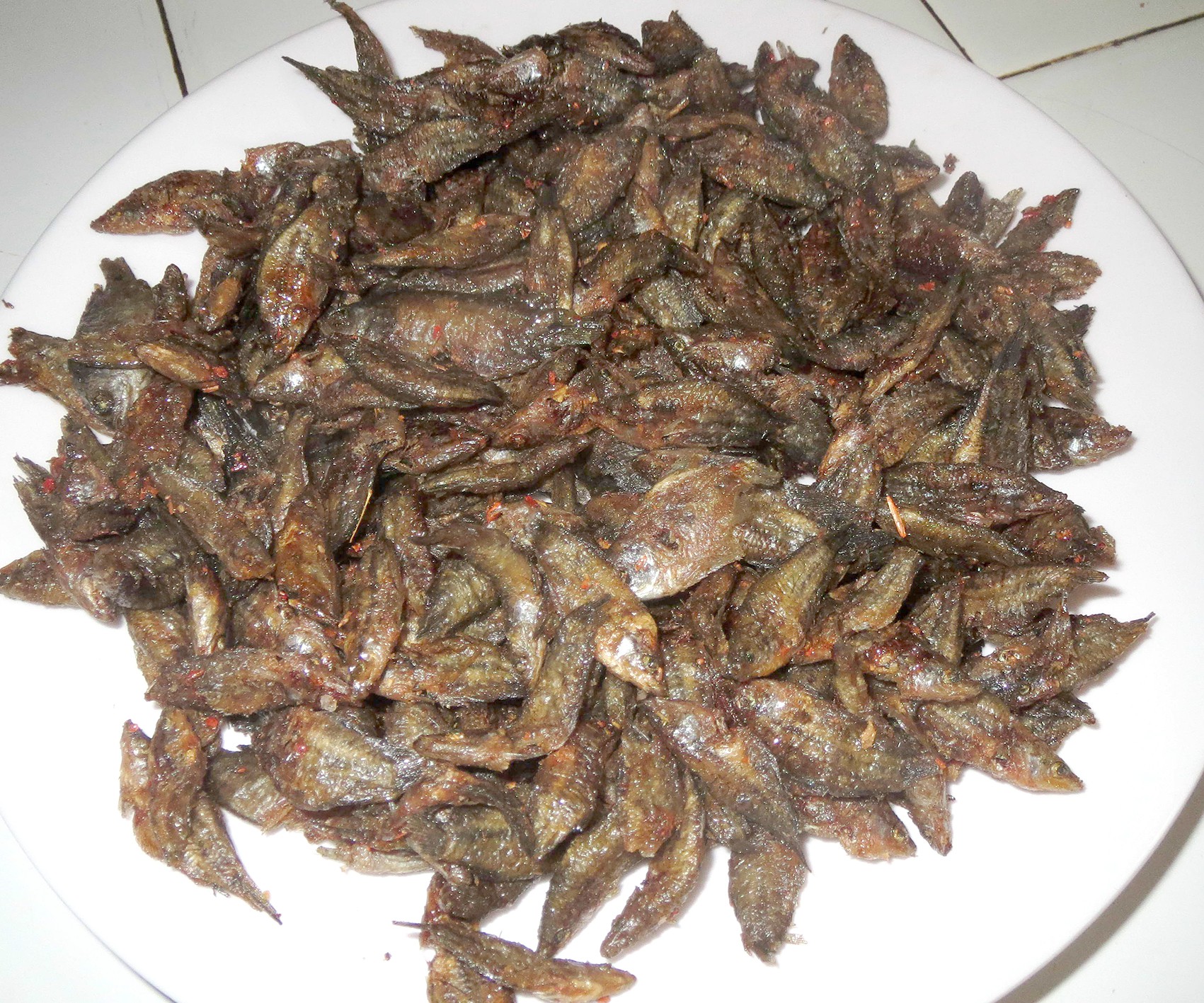 Gắp con cá bã trầu chiên muối ớt rồi chấm mắm chua cay, ngon hết ý kiến - Ảnh 2. Gắp con cá bã trầu chiên muối ớt rồi chấm mắm chua cay, ngon hết ý kiến - Ảnh 2.