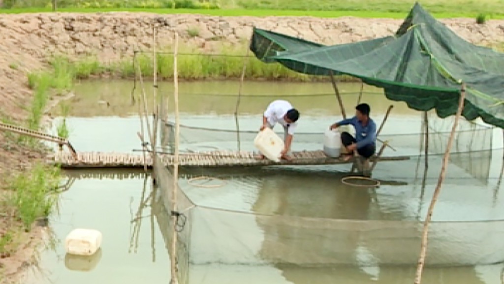 tha ca icrsl_1 1(read-only) tha ca icrsl_1 1(read-only)