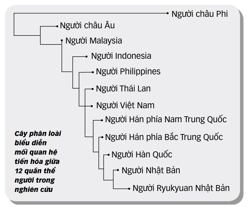 Công bố nghiên cứu bộ gen người Việt: Bất ngờ về nguồn gốc - Ảnh 2. Công bố nghiên cứu bộ gen người Việt: Bất ngờ về nguồn gốc - Ảnh 2.