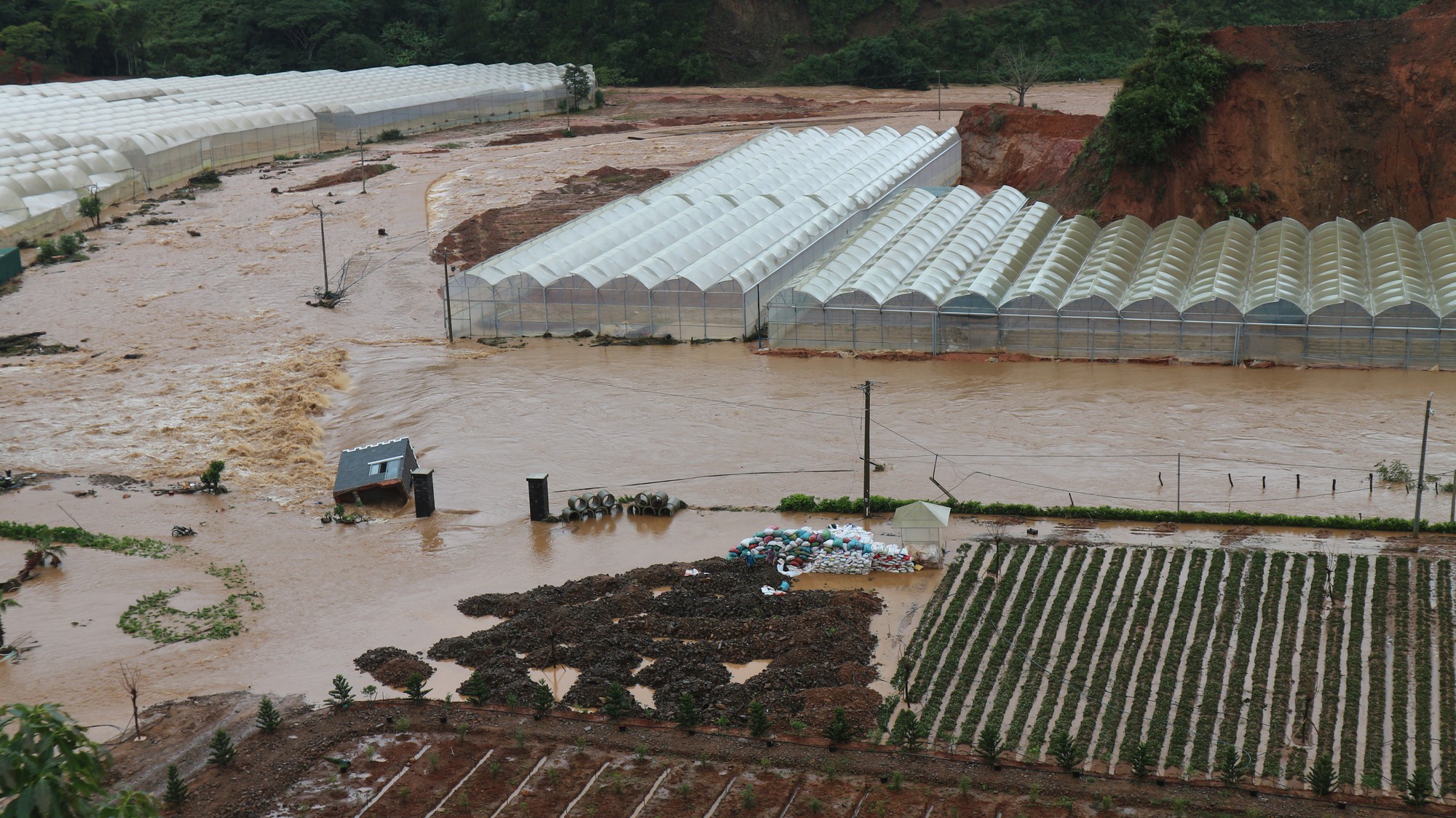 Đà Lạt, Lâm Đồng mưa nhỏ lũ sâu, vì đâu nên nỗi? - Ảnh 2. Đà Lạt, Lâm Đồng mưa nhỏ lũ sâu, vì đâu nên nỗi? - Ảnh 2.