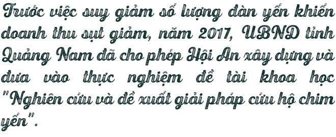 Bệnh viện chim yến giữa biển khơi - Ảnh 8.