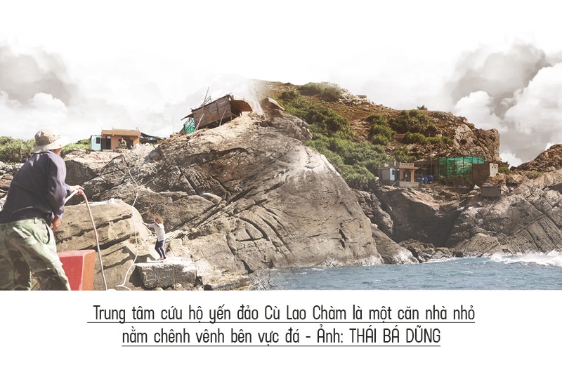 Bệnh viện chim yến giữa biển khơi - Ảnh 5.