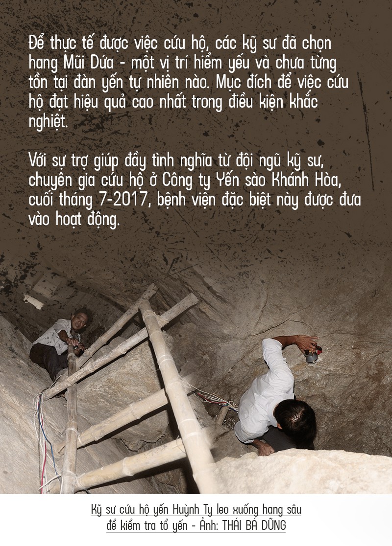 Bệnh viện chim yến giữa biển khơi - Ảnh 9.