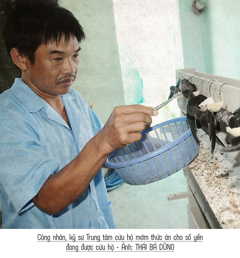 Bệnh viện chim yến giữa biển khơi - Ảnh 18.